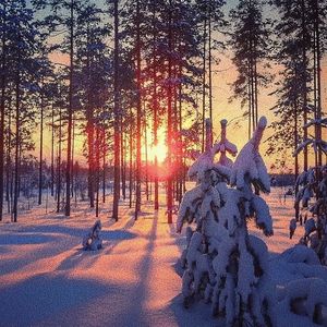 军人XXXⅩ做受军人Gay漫画
